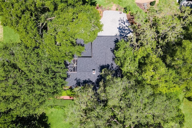9223 Silver Lake Dr, Leesburg, FL 34788 - aerial view of property and surrounding area