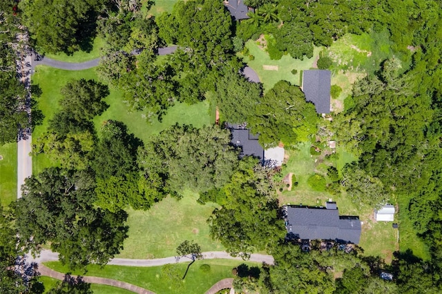 9223 Silver Lake Dr, Leesburg, FL 34788 - view of property location