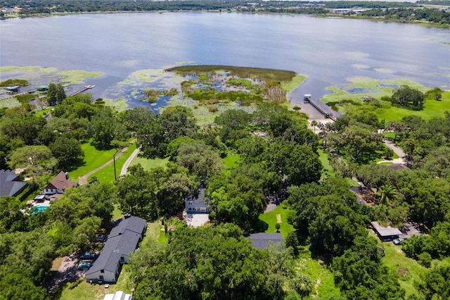 9223 Silver Lake Dr, Leesburg, FL 34788 - bird's eye view of a nearby body of water