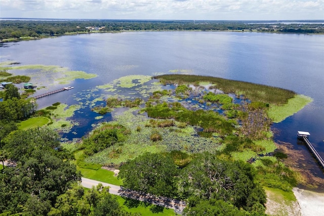 9223 Silver Lake Dr, Leesburg, FL 34788 - view of property location with a large body of water