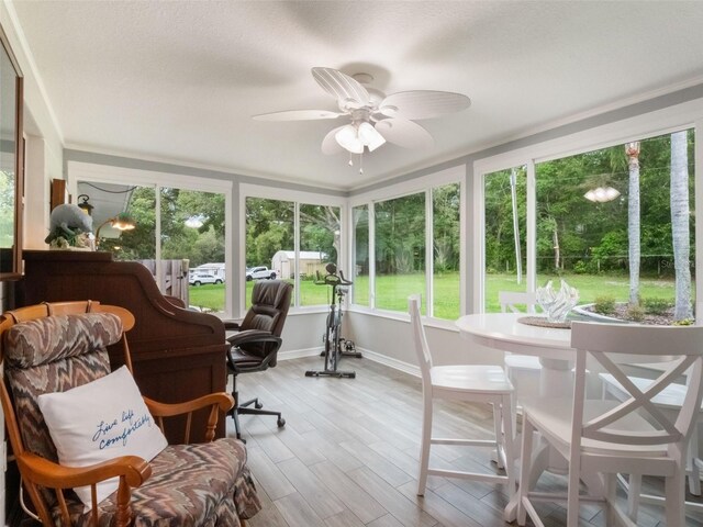 5556 Round Lake Rd, Apopka, FL 32712 - sunroom / solarium with wood finished floors and baseboards