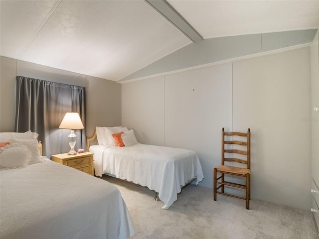 5556 Round Lake Rd, Apopka, FL 32712 - bedroom with light colored carpet