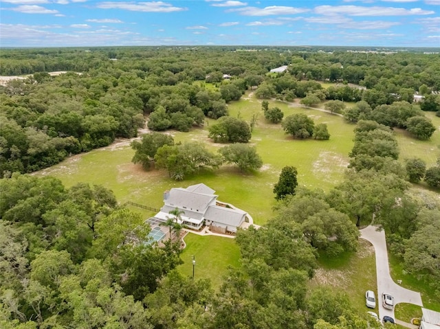 5556 Round Lake Rd, Apopka, FL 32712 - bird's eye view of a forest