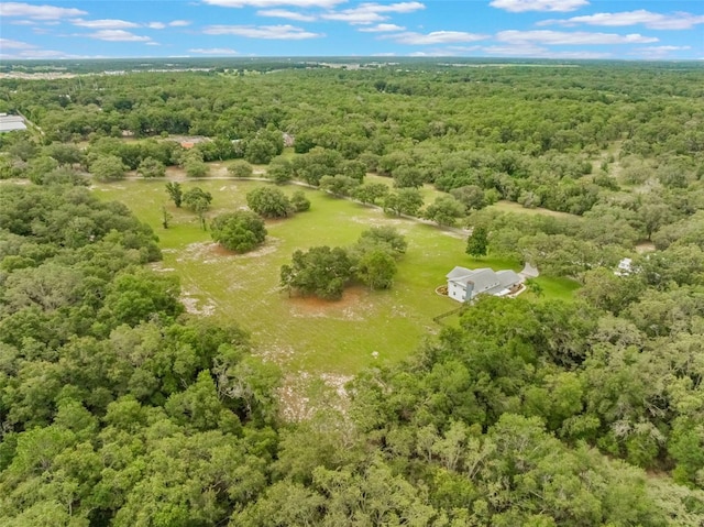 5556 Round Lake Rd, Apopka, FL 32712 - drone / aerial view of a forest