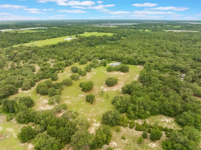 5556 Round Lake Rd, Apopka, FL 32712 - aerial view of a forest
