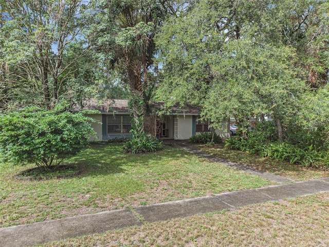 806 Leopard Trl, Winter Springs, FL 32708 - view of front of property featuring a front lawn and stucco siding