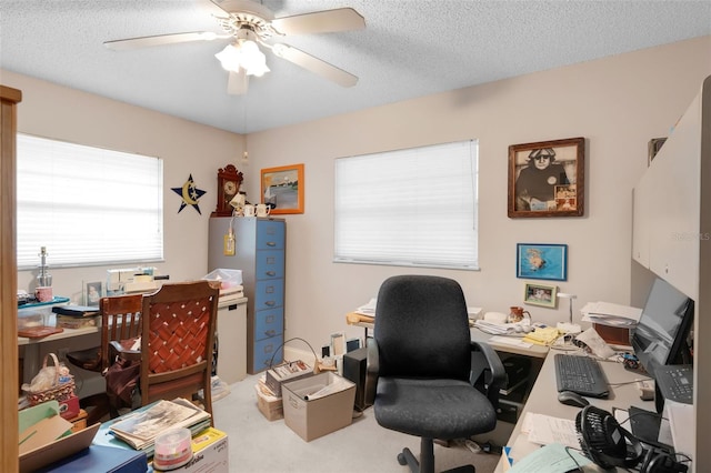 806 Leopard Trl, Winter Springs, FL 32708 - office space with a ceiling fan, carpet, and a textured ceiling