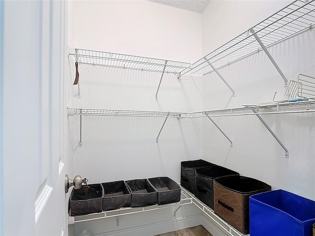 167 Castaway Beach Way, Kissimmee, FL 34746 - view of walk in closet