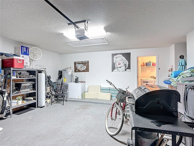 167 Castaway Beach Way, Kissimmee, FL 34746 - garage with a garage door opener and water heater