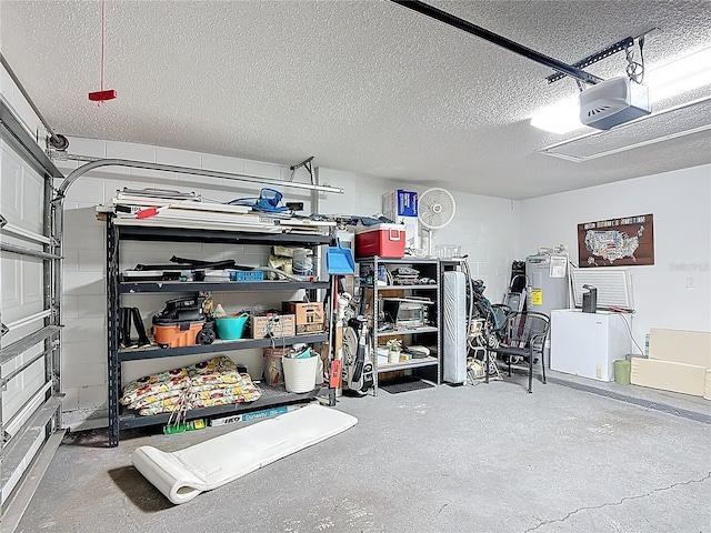 167 Castaway Beach Way, Kissimmee, FL 34746 - garage featuring a garage door opener and electric water heater