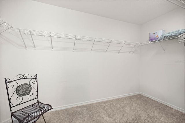 516 Junction Pl, The Villages, FL 32163 - photo 15
