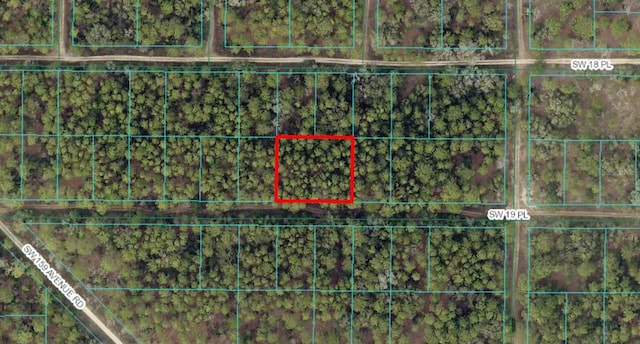 SW 19th Pl, Ocala, FL 34481 - photo 1