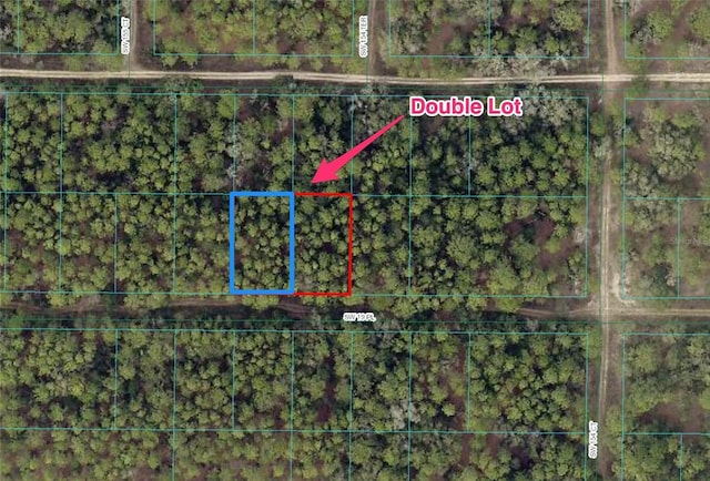 SW 19th Pl, Ocala, FL 34481 - photo 2
