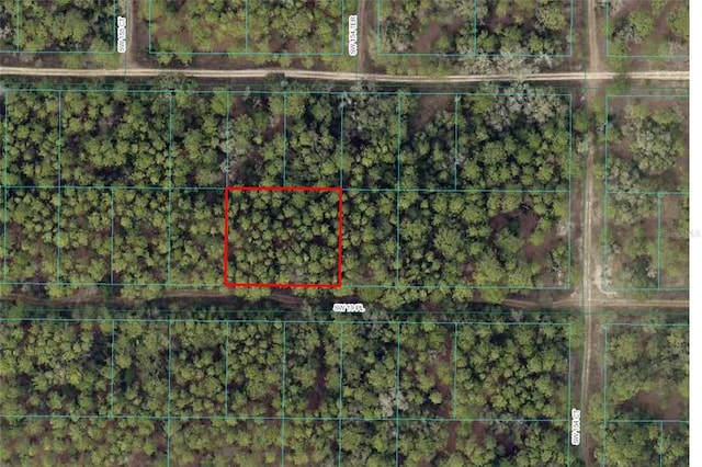 SW 19th Pl, Ocala, FL 34481 - photo 3