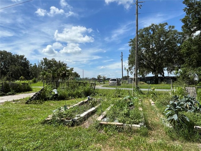 411 Alibrandi Rd, Leesburg, FL 34748 - photo 12