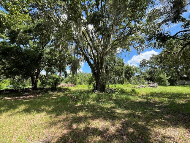 411 Alibrandi Rd, Leesburg, FL 34748 - photo 16