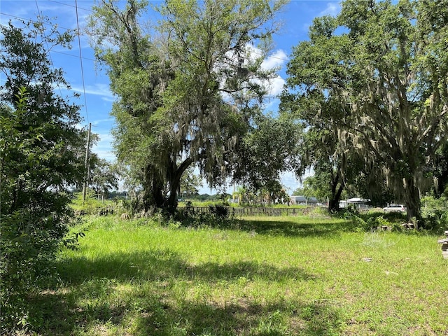 411 Alibrandi Rd, Leesburg, FL 34748 - photo 19