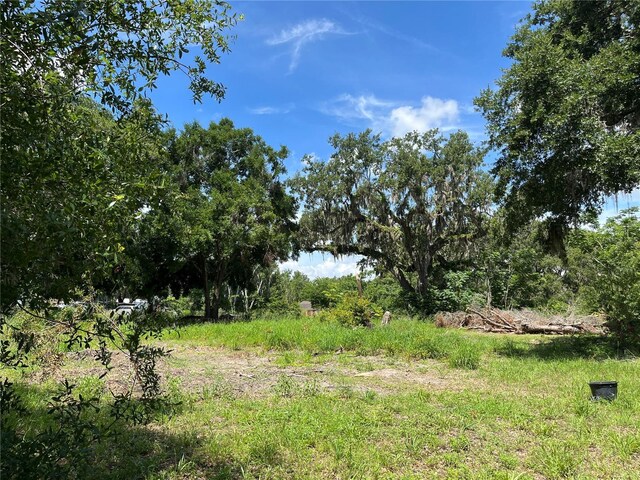 411 Alibrandi Rd, Leesburg, FL 34748 - photo 20