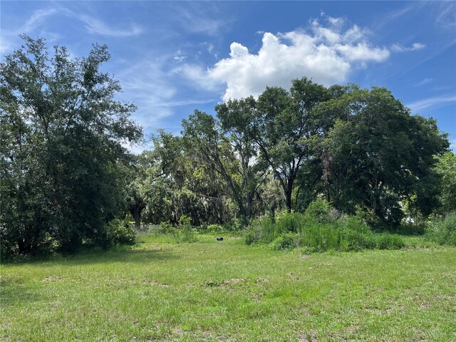 411 Alibrandi Rd, Leesburg, FL 34748 - photo 24