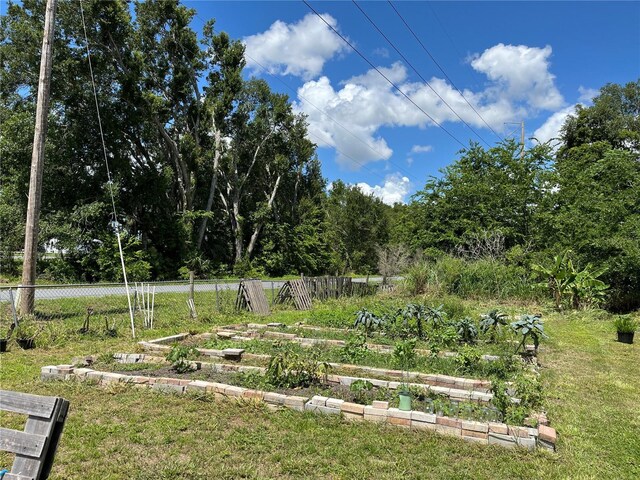 411 Alibrandi Rd, Leesburg, FL 34748 - photo 37