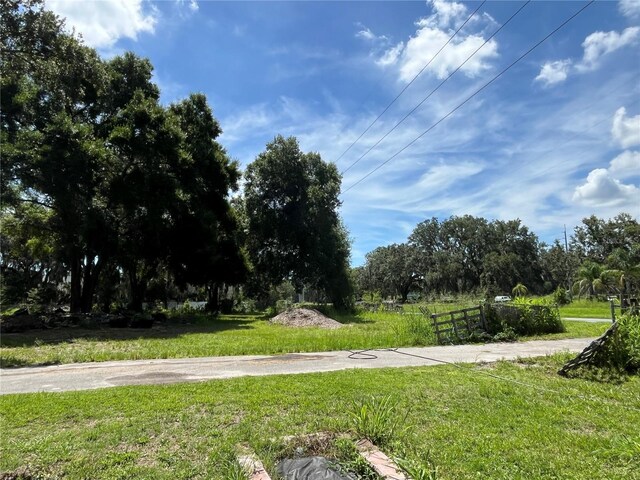 411 Alibrandi Rd, Leesburg, FL 34748 - photo 6