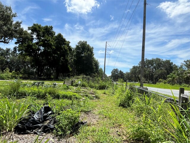 411 Alibrandi Rd, Leesburg, FL 34748 - photo 11