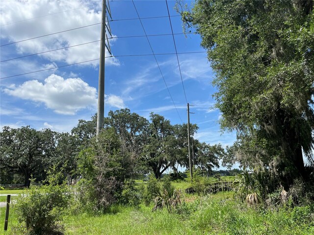 411 Alibrandi Rd, Leesburg, FL 34748 - photo 18