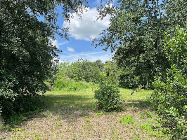 411 Alibrandi Rd, Leesburg, FL 34748 - photo 22