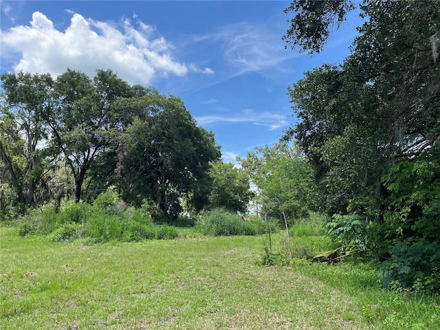411 Alibrandi Rd, Leesburg, FL 34748 - photo 23