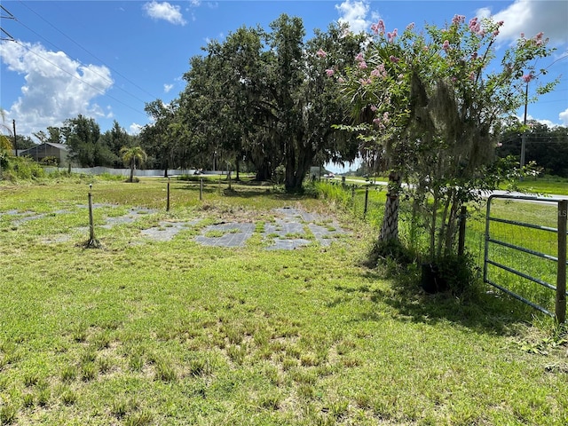 411 Alibrandi Rd, Leesburg, FL 34748 - photo 34