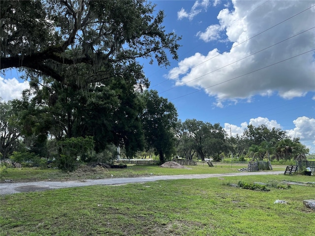 411 Alibrandi Rd, Leesburg, FL 34748 - photo 41