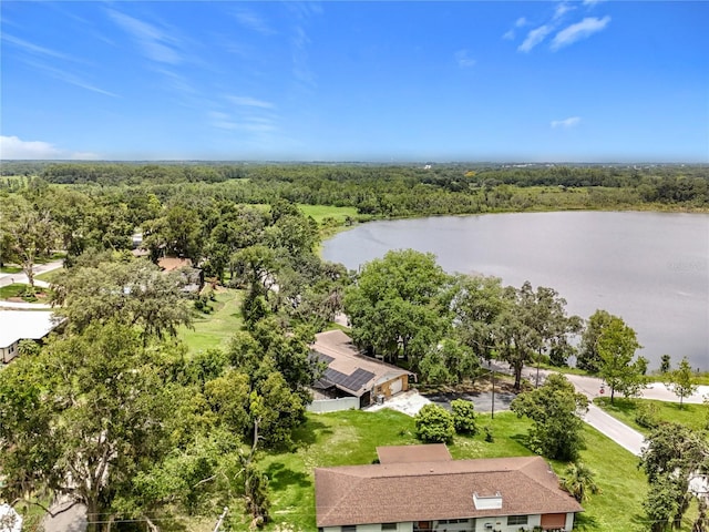919 S Lake Ave, Groveland, FL 34736 - photo 60