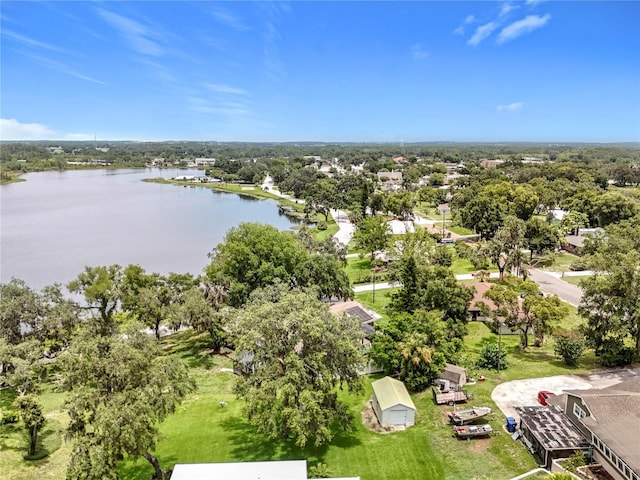 919 S Lake Ave, Groveland, FL 34736 - photo 61