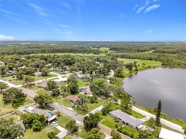 919 S Lake Ave, Groveland, FL 34736 - photo 62