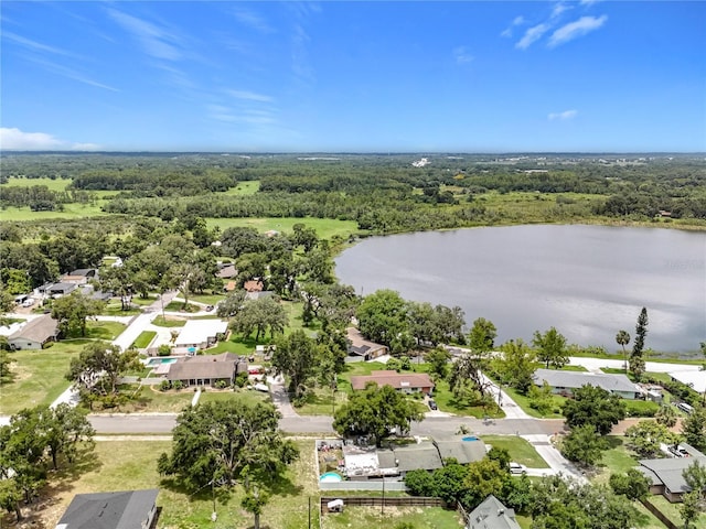919 S Lake Ave, Groveland, FL 34736 - photo 66