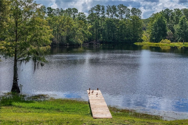 168 Pond Rd, Mount Dora, FL 32757 - photo 3