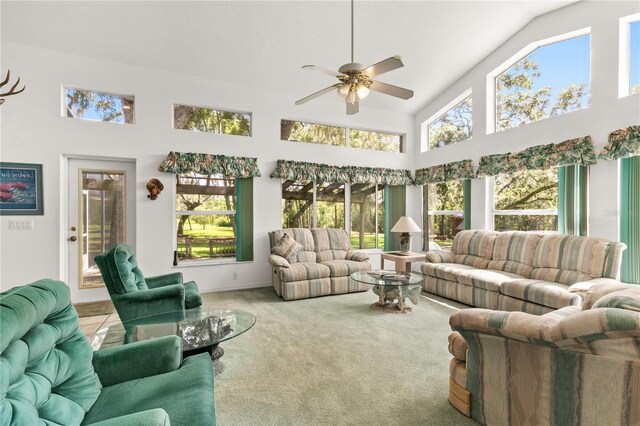 168 Pond Rd, Mount Dora, FL 32757 - photo 20