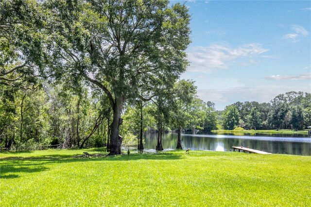 168 Pond Rd, Mount Dora, FL 32757 - photo 39