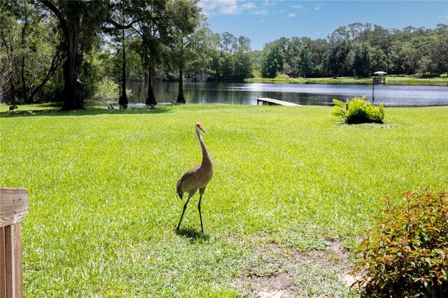 168 Pond Rd, Mount Dora, FL 32757 - photo 40