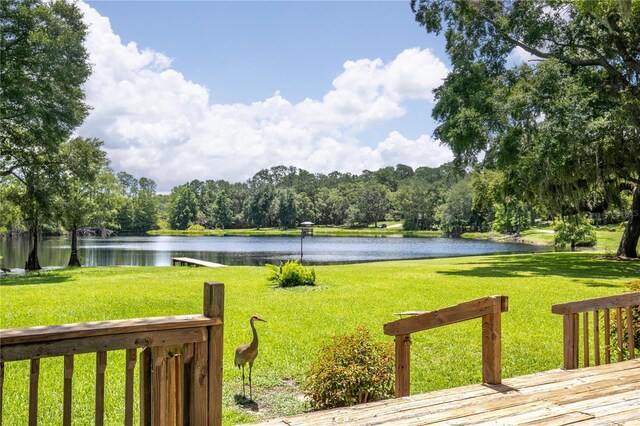 168 Pond Rd, Mount Dora, FL 32757 - photo 41