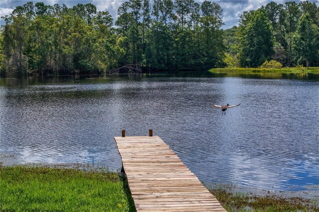 168 Pond Rd, Mount Dora, FL 32757 - photo 46