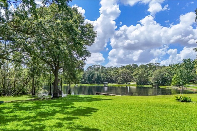 168 Pond Rd, Mount Dora, FL 32757 - photo 61