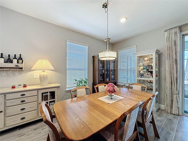 655 Conservation Blvd, Groveland, FL 34736 - dining area featuring wood tiled floors, a textured ceiling, and a bar
