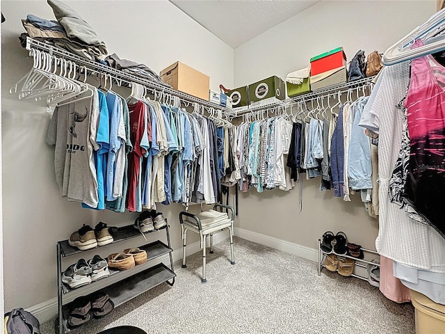 655 Conservation Blvd, Groveland, FL 34736 - walk in closet featuring carpet flooring