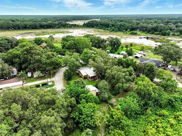 25888 SE 157th Ln, Umatilla, FL 32784 - photo 41