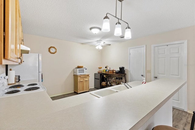 16938 SE 94th Sunnybrook Cir, The Villages, FL 32162 - photo 12