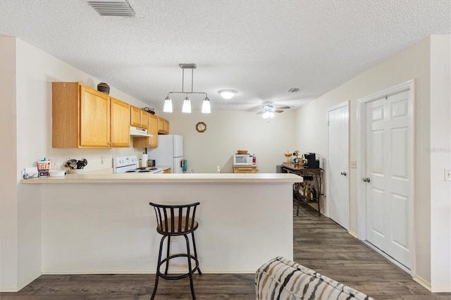 16938 SE 94th Sunnybrook Cir, The Villages, FL 32162 - photo 13