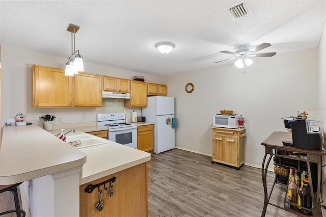 16938 SE 94th Sunnybrook Cir, The Villages, FL 32162 - photo 15