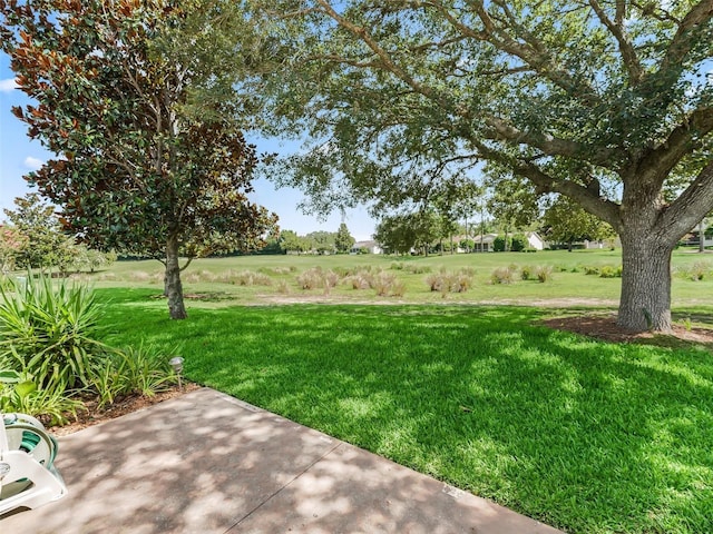 487 Thistledown Way, The Villages, FL 32162 - view of green lawn with a patio area