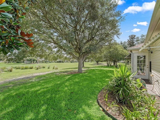 487 Thistledown Way, The Villages, FL 32162 - view of grassy yard